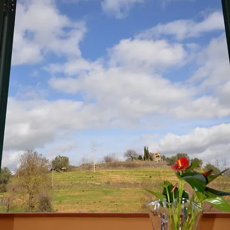 8380 Mastro Montemerano